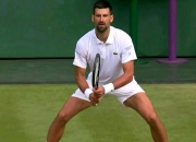 开云平台-关于温网逆转ATP总决赛，德约科维奇状态火热的信息