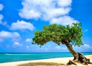 开云体育入口-芬兰淘汰英格兰，孙兴慜的教科书级表现如何定义现代足球的唯一性