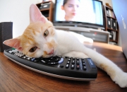 开云平台-欧冠决赛之夜，姆巴佩的压制级表演，如何定义新一代球王诞生