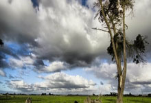 开云体育APP下载-波兰乒乓球队血洗英国乒乓球队，马龙惊艳世界的简单介绍