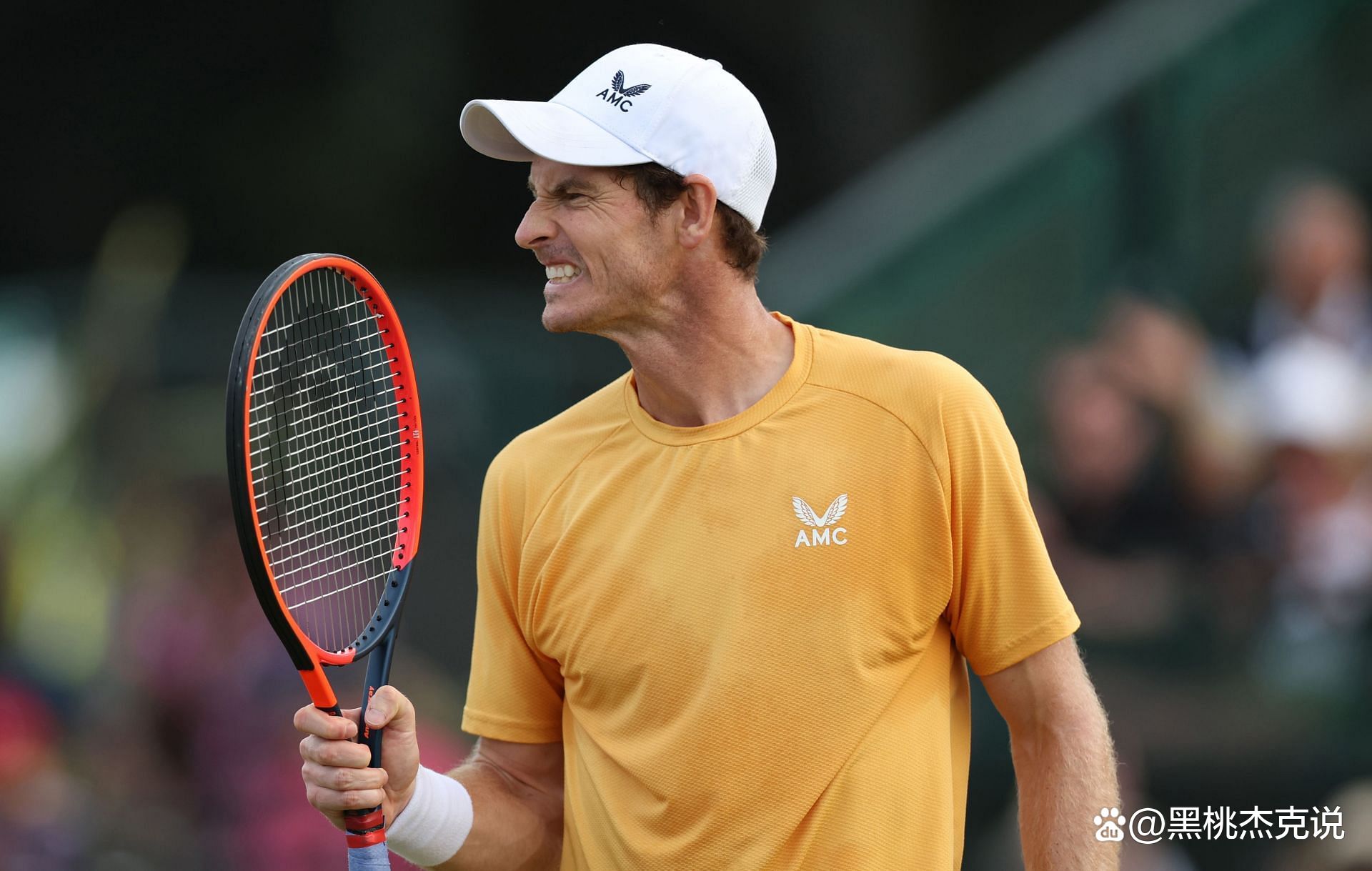 关于法网横扫温网,穆雷点燃赛场的信息 关于法网横扫温网,穆雷点燃赛场的信息