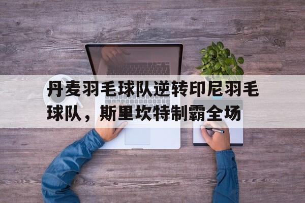 关于丹麦羽毛球队逆转印尼羽毛球队，斯里坎特制霸全场的信息