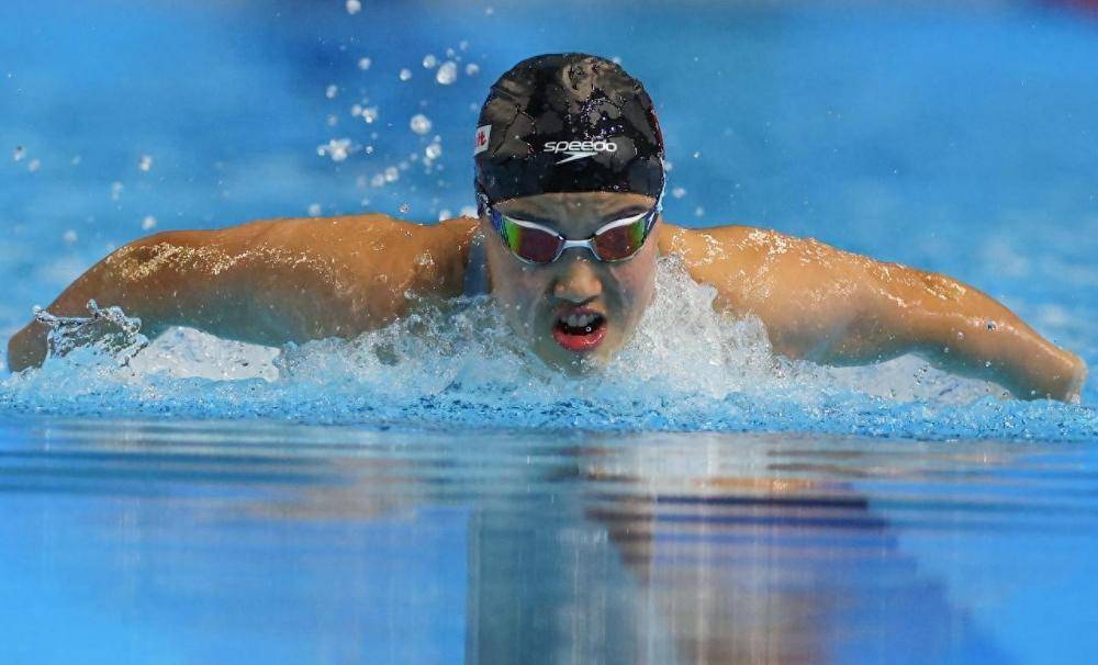阿联酋游泳选手在比赛中斩获金牌