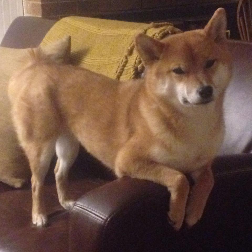 弗拉霍维奇爆发点燃欧战烽火，利物浦血拼瑞士军刀捍卫荣耀