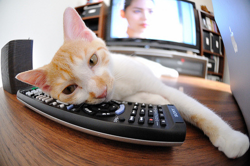 欧冠决赛之夜，姆巴佩的压制级表演，如何定义新一代球王诞生