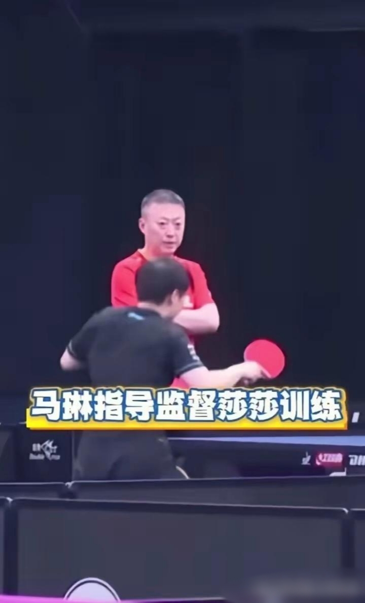 丹麦队完胜韩国队，马琳点燃赛场