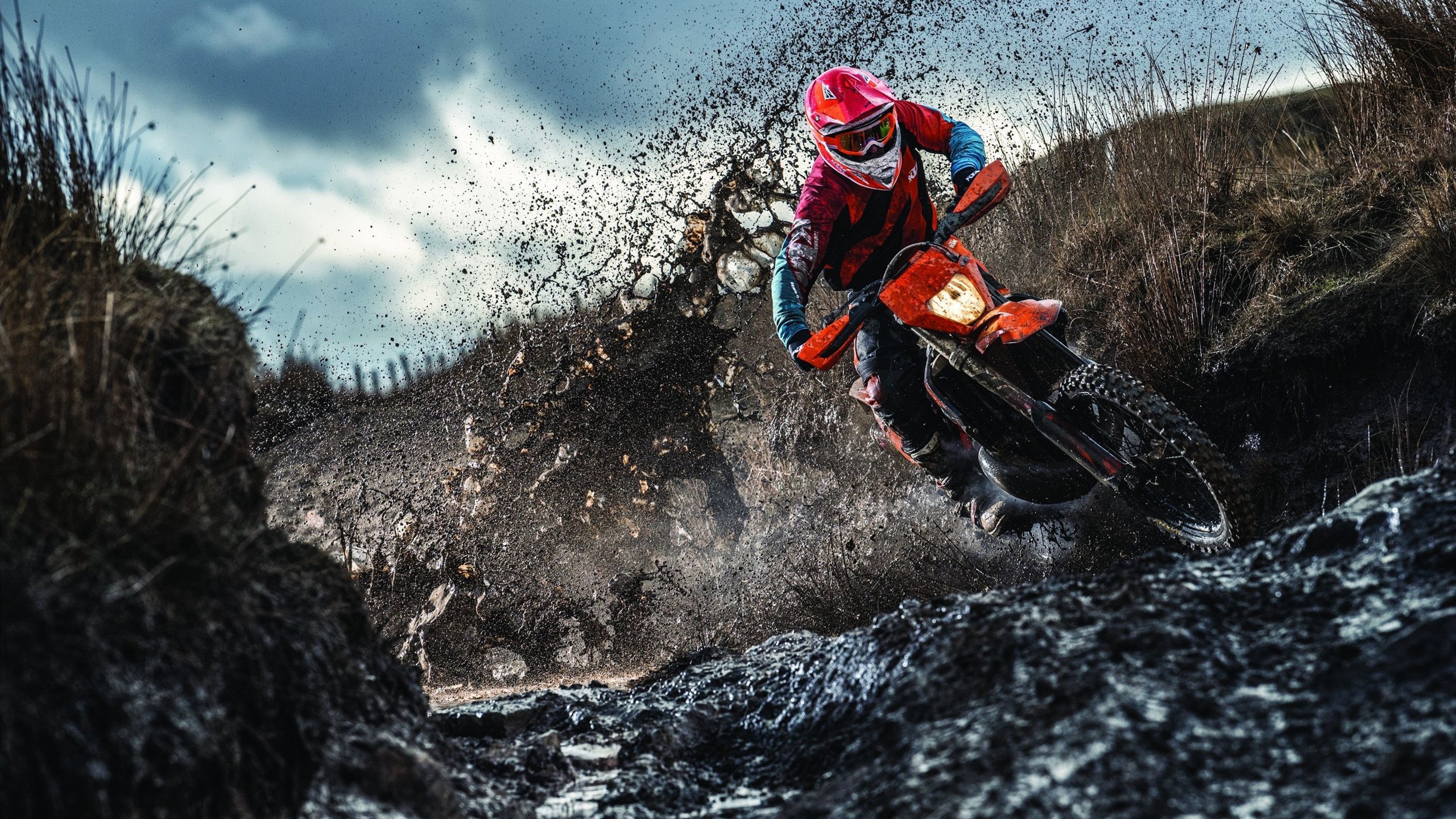 光芒之下，福克斯扛起全队，太阳战术体系如何全面压制山西