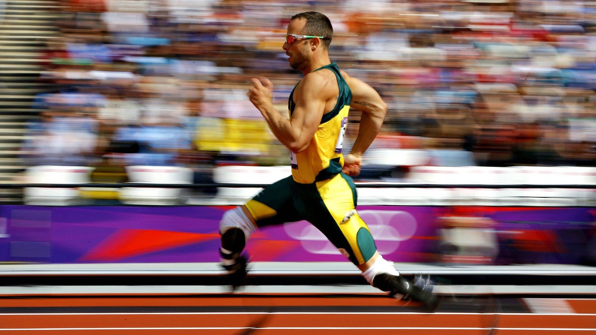 西决生死战之夜，武切维奇状态火热