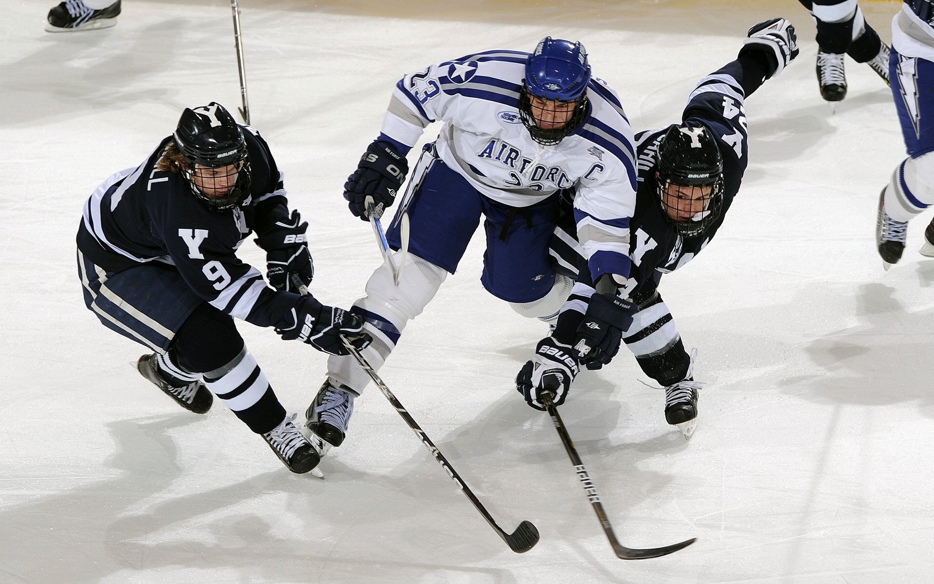 双雄记，绿茵场上的法国利刃与乒坛龙吟